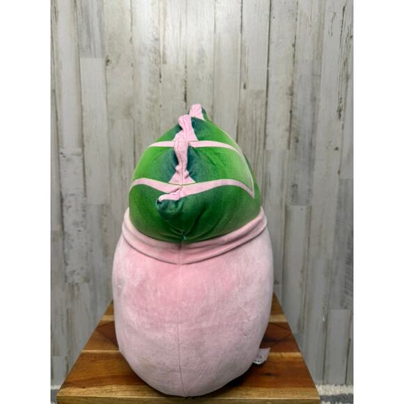 Squishmallows Afiyah Succulent Plant Plush Large Retired 16" - Picture 4 of 5